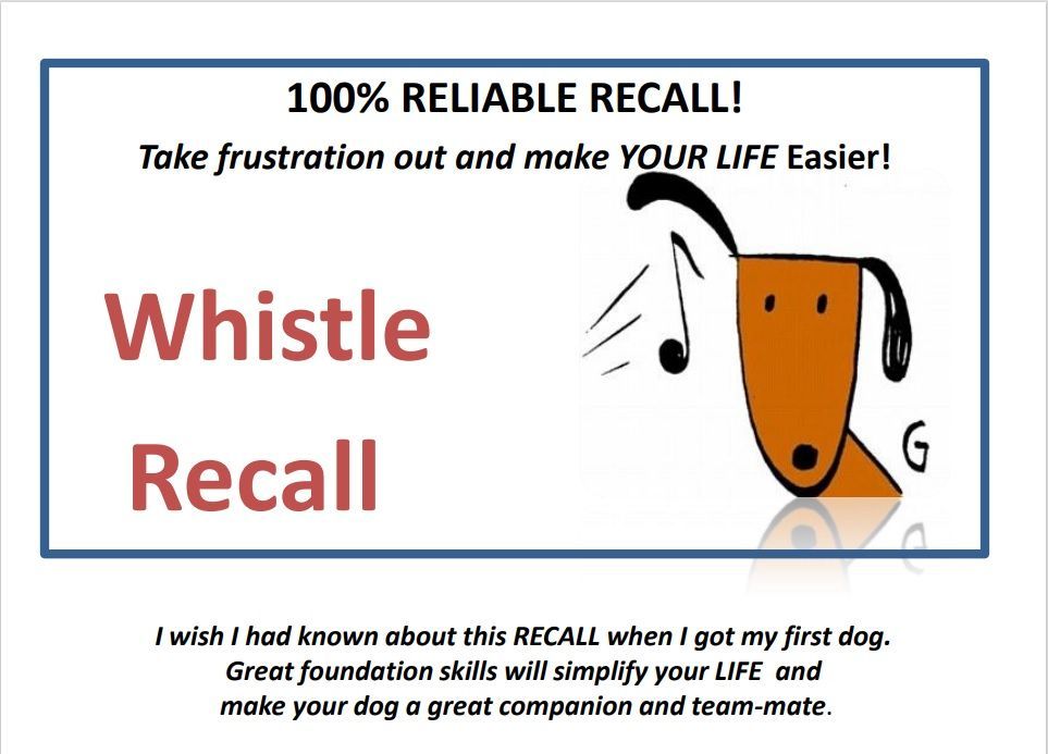 Whistle Recall - DebbyQuigley.com