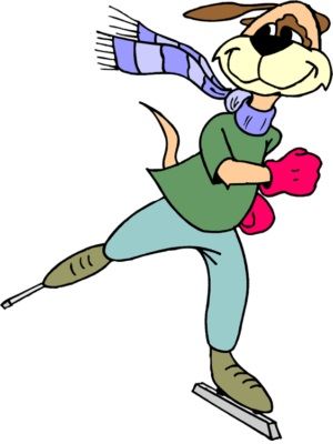 ski