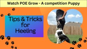 Heeling Tips & Tricks series video #1