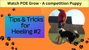 Heeling Tips & Tricks #2