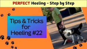 Heeling Tips & Tricks #22