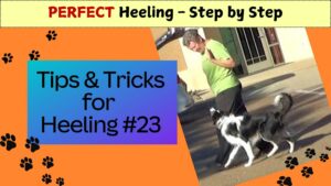 Heeling Tips & Tricks #23