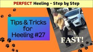 27 intro fast