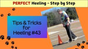 43 fig 8 handling