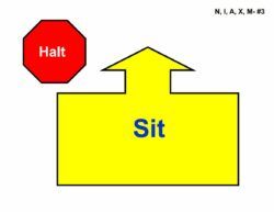 3 halt w sit rally.j