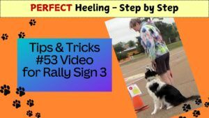 #53 rally sign 3 halt sit forward
