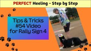 54 rally sign 4 halt sit down forward