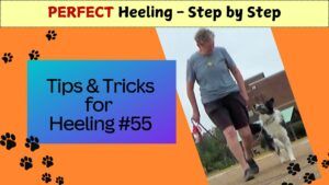 catch up heeling